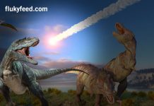 Dinosaur Extinct Facts, Why did Dinosaurs Die?